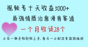 十天收益5000+,多平台捞金,视频号情感治愈漫剪,一个月收徒28个,小白一部手机轻松上手【揭秘】-创业资源网