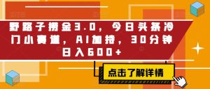 野路子捞金3.0，今日头条冷门小赛道，AI加持，30分钟日入600+-创业资源网