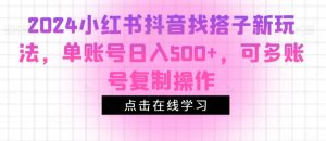 2024小红书抖音找搭子新玩法，单账号日入500+，可多账号复制操作-创业资源网