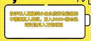 快手无人直播纯小白负债党也能做的不需要真人出镜,日入3000+配合私域引流月入万的项目-创业资源网