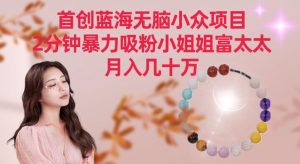 首创蓝海无脑小众项目,2分钟暴力吸粉小姐姐富太太,月入几十万【揭秘】-创业资源网