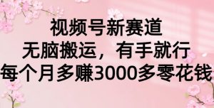 视频号新赛道，无脑搬运，有手就行，每个月多赚3000多零花钱-创业资源网