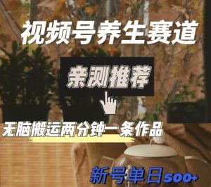视频号养生赛道暴力掘金,无脑搬运,两分钟一条作品-新日单入500+-暖阳网-优质付费教程和创业项目大全-创业资源网