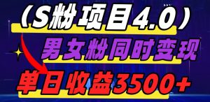 S粉项目4.0,男女粉通吃,男女粉同时变现,单日收益3500+-暖阳网-优质付费教程和创业项目大全-创业资源网