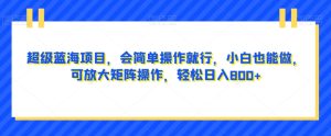 超级蓝海项目,会简单操作就行,小白也能做,可放大矩阵操作,轻松日入800+,-暖阳网-优质付费教程和创业项目大全-创业资源网
