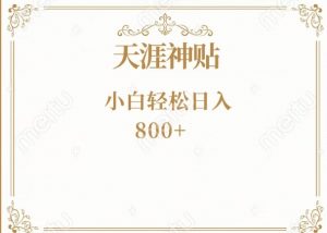 神级项目！天涯神贴再现江湖！小白轻松入手，三个月变现10w+-暖阳网-优质付费教程和创业项目大全-创业资源网