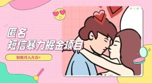 全网首发,揭秘超冷门匿名短信项目,通过信息差日入几百+【揭秘】-暖阳网-优质付费教程和创业项目大全-创业资源网