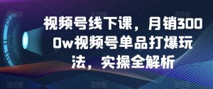 视频号线下课，月销3000w视频号单品打爆玩法，实操全解析-暖阳网-优质付费教程和创业项目大全-创业资源网