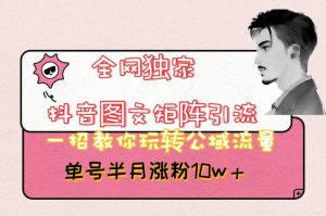 全网独家抖音图文矩阵引流,一招教你玩转公域流量,单号半月涨粉10w+【揭秘】-创业资源网