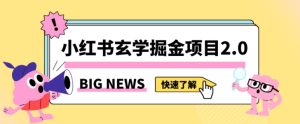 小红书玄学掘金项目,值得常驻的蓝海项目,日入3000+附带引流方法以及渠道【揭秘】-创业资源网