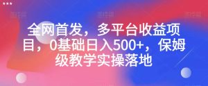全网首发,多平台收益项目,0基础日入500+,保姆级教学实操落地【揭秘】-创业资源网
