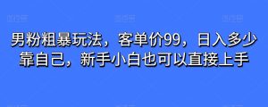 粉丝粗鲁游戏玩法，客单量99，日入是多少依靠自己，新手入门还可以直接上手-创业资源网