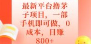 全新服务平台撸茅子新项目，一部手机就可以做，0成本费，日赚800-创业资源网