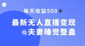 全新没有人引流变现,夫妻睡觉搞恶,每日躺着赚钱500 【揭密】-创业资源网