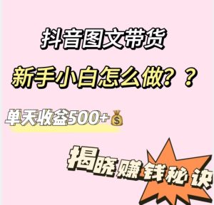 抖音图文带货,新手入门如何做?单日收入500 【揭密赚钱秘诀】-创业资源网