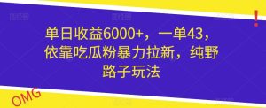 单日盈利6000 ,一单43,借助嗑瓜子粉暴力行为引流,纯歪门邪道游戏玩法-创业资源网