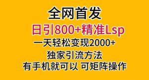 独家首发!日引800 精确老色批,一天转现2000 ,独家代理推广方法,可引流矩阵实际操作【揭密】-创业资源网