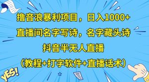 撸音浪暴利项目，日入1000+，直播间名字写诗，名字藏头诗，抖音半无人直播【揭秘】-创业资源网