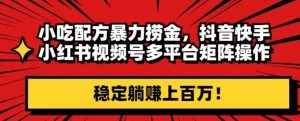 小吃配方暴力捞金，抖音快手小红书视频号多平台矩阵操作，稳定躺赚上百万！-创业资源网