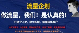 流量企划,打造个人IP,放大私域,持续转化客户【揭秘】-创业资源网