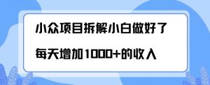 小众项目拆解，小白做好了每天可增加1000多的收入-创业资源网