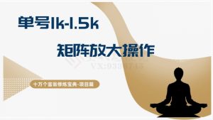 十万个富翁修炼宝典15.单号1k-1.5k,矩阵放大操作-创业资源网