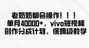 老奶奶都会操作，新平台无脑操作，单月40000+，vivo短视频创作分成计划【揭秘】-创业资源网