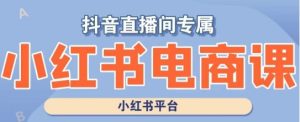 小红书电商高级运营课程,实操教学+案例分析-创业资源网