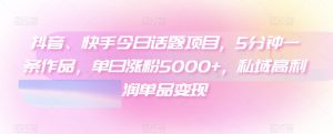 抖音、快手今日话题项目，5分钟一条作品，单日涨粉5000+，私域高利润单品变现-创业资源网