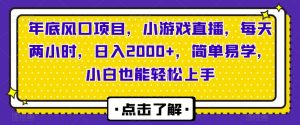 年底风口项目,小游戏直播,每天两小时,日入2000+,简单易学,小白也能轻松上手-创业资源网