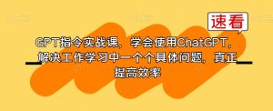 GPT指令实战课,学会使用ChatGPT,解决工作学习中一个个具体问题,真正提高效率-创业资源网