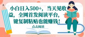 小白日入500+,当天见收益,全网首发阅读平台,一键复制粘贴也能赚钱!-创业资源网