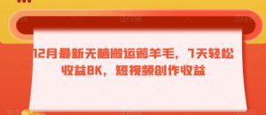 12月最新无脑搬运薅羊毛，7天轻松收益8K，短视频创作收益-创业资源网