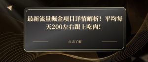 最新流量掘金项目详情解析!平均每天200左右跟上吃肉!-创业资源网