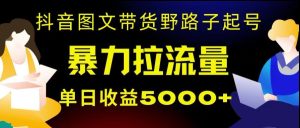 抖音图文带货暴力起号,单日收益5000+,野路子玩法,简单易上手,一部手机即可【揭秘】-创业资源网