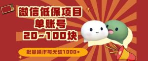 微信领低保单账号20元-100元,批量操作每天破1000+-创业资源网
