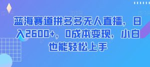 蓝海赛道拼多多无人直播，日入2600+，0成本变现，小白也能轻松上手【揭秘】-创业资源网