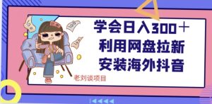 学会日入300+,利用网盘拉新安装海外抖音保姆级教学【揭秘】-创业资源网