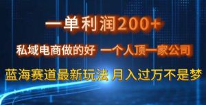 一单利润200私域电商做的好，一个人顶一家公司蓝海赛道最新玩法【揭秘】-创业资源网