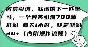 怎么搞精准创业粉?微信新赛道,每天一小时,利用Ai一个问答日引100精准粉-创业资源网