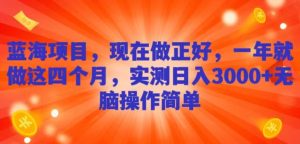 蓝海项目,现在做正好,一年就做这4个月,实测日入3000+,无脑简单操作!-创业资源网