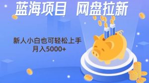 蓝海项目网盘拉新，新人小白也可操作，每月收入5000+-创业资源网