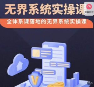 老衲·无界系统实操课,全体系落地无界改版后选择、出价、高投产做付费引流-创业资源网