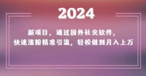 2024新项目,通过国外社交软件,快速涨粉精准引流,轻松做到月入上万【揭秘】-创业资源网