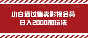 小白通过售卖影视会员日入2000加玩法-创业资源网