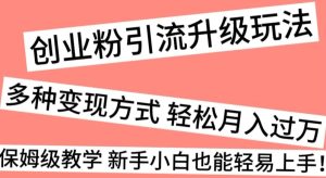 创业粉引流升级玩法,多种变现方式轻松月入过万,保姆级教学新手小白也能轻易上手!-创业资源网