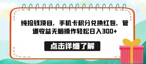 纯捡钱项目，手机卡积分兑换红包，管道收益无脑操作轻松日入300+-创业资源网