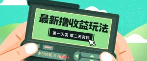2024最新撸视频收益玩法,第一天发,第二天就有钱-创业资源网