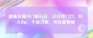 咸鱼货源冷门新玩法，小白零门口，月入3w，干货分享，可批量复制-创业资源网