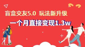 盲盒交友5.0，玩法全新升级，一个月直接变现1.3W，新手小白轻松上手【揭秘】-创业资源网